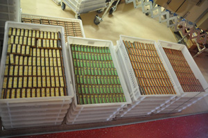 verpackte Schokolade